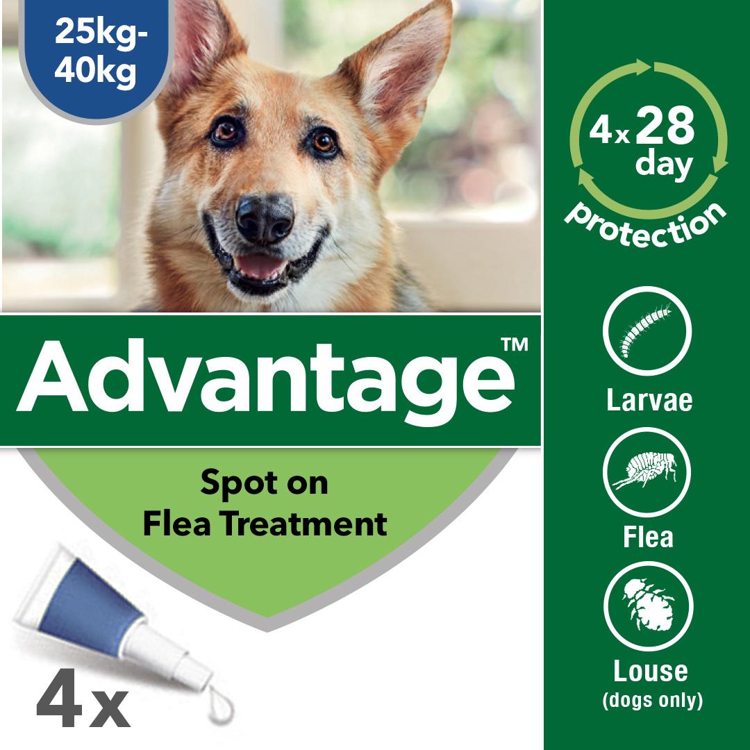 Advantage 400 Spot On Flea Drops for Very Large Dogs (2540kg) 4Pack