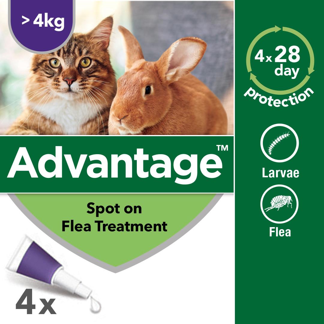 Cheaper Cat Food Cans Or Dry Cheaper Cat Food Cans Or Dry