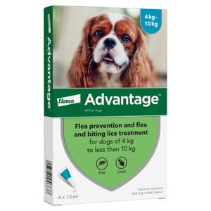Advantage 100 Spot On Flea Control Medium Dog. Cheap ...