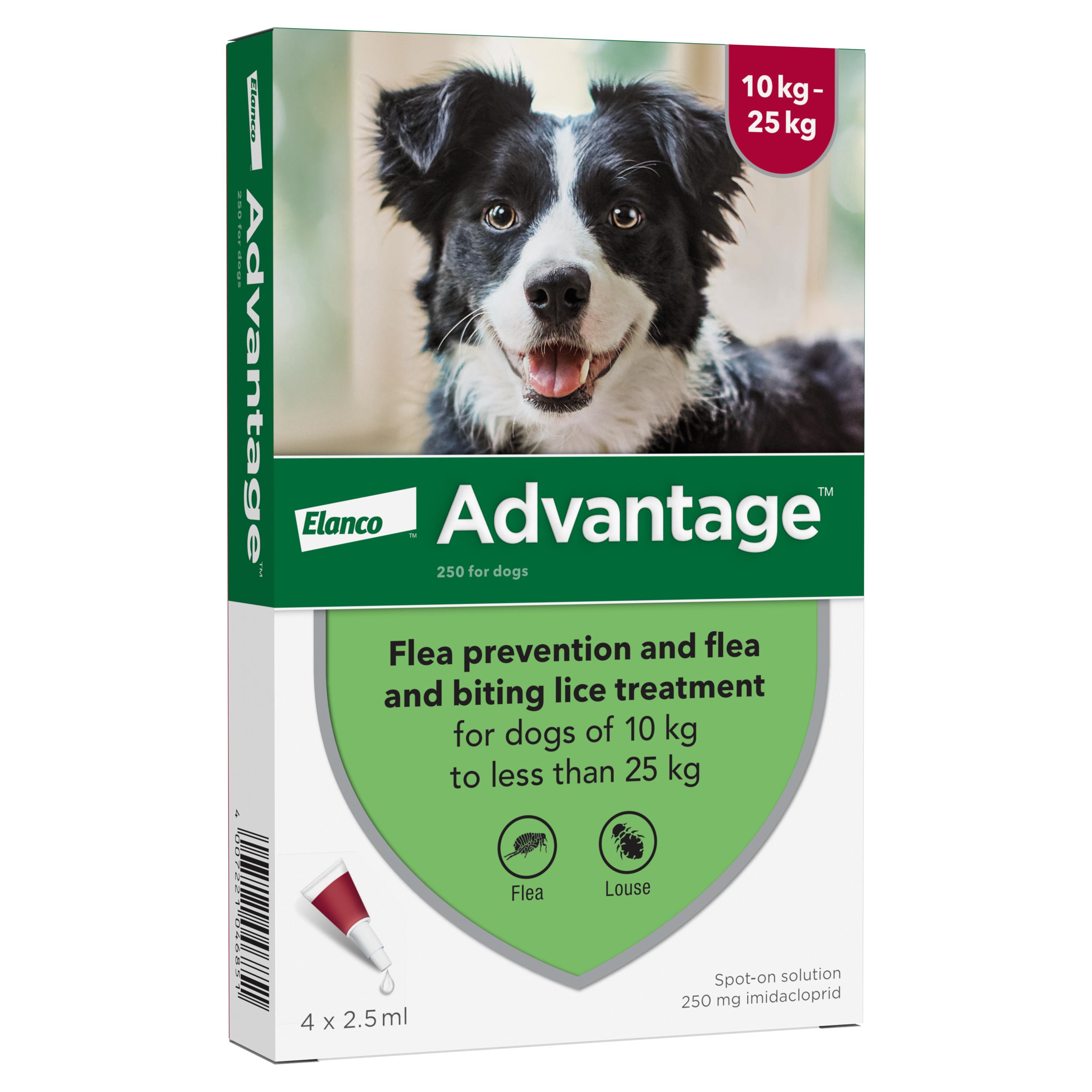 Advantage spot on flea treatment for dogs clearance