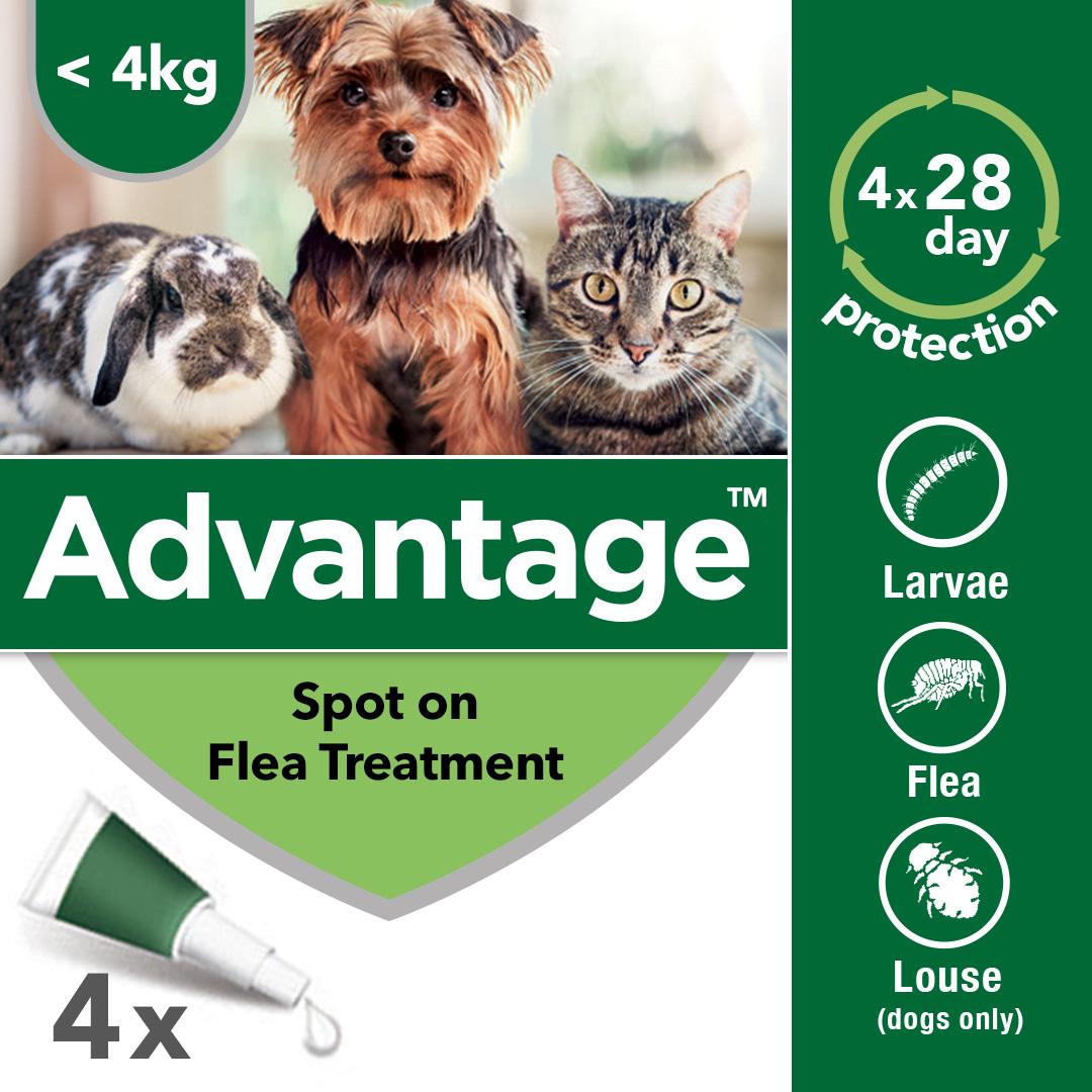 Advantage 40 Spot On Flea Control Small Dogs, Cats and Rabbits. On Sale
