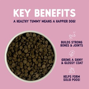 Burgess Sensitive Salmon Rice Dog Food Free Delivery at