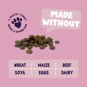 Burgess Sensitive Salmon Rice Dog Food Free Delivery at