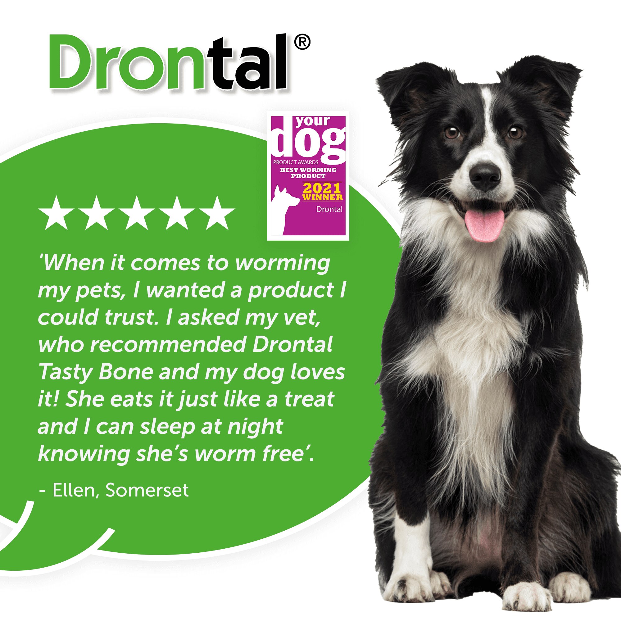 drontal xl dog wormer