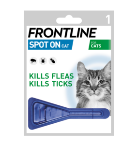 Cat Flea Control