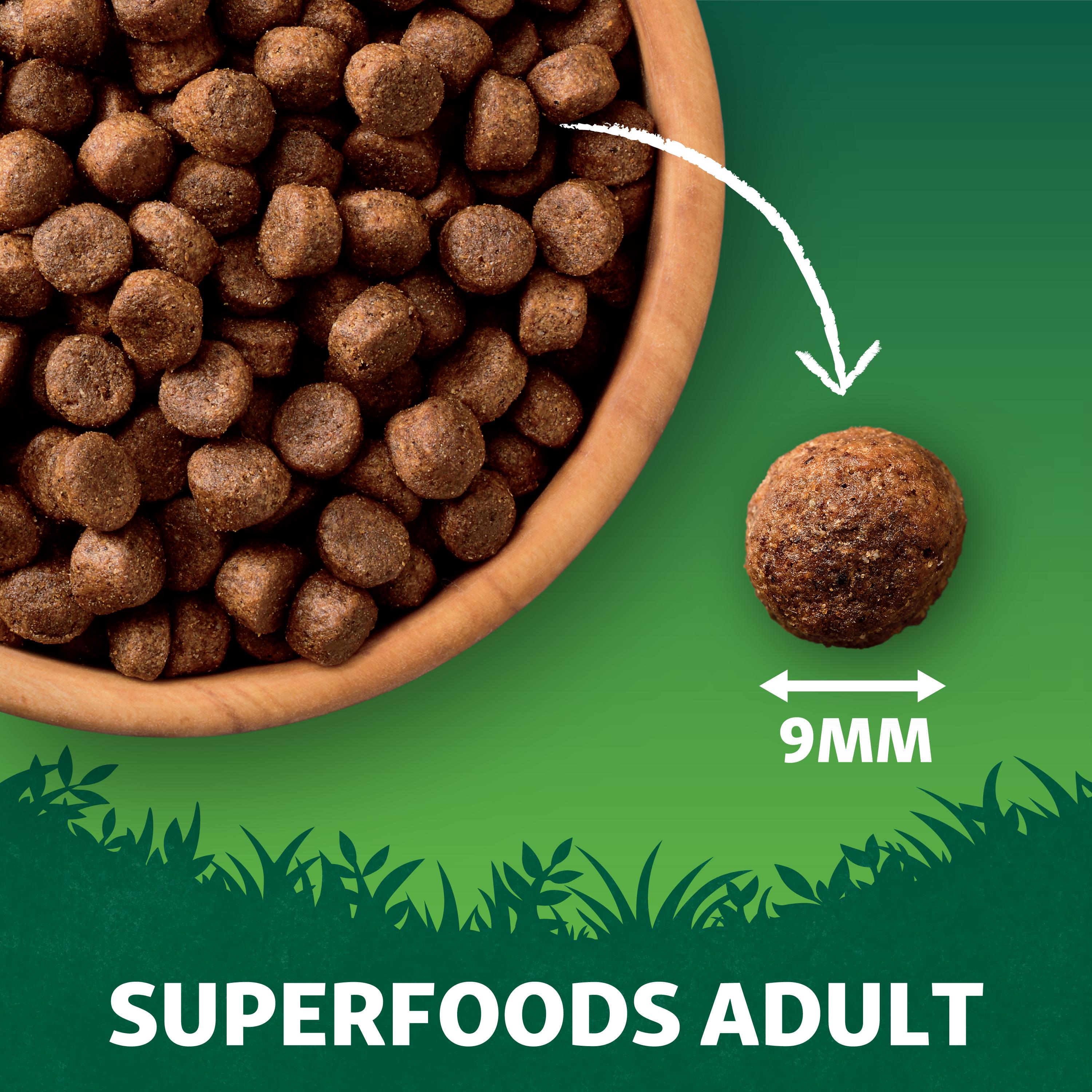 harringtons sensitive dog food