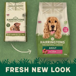 Harringtons Top Rated Dry Dog Food For Large Breeds Harringtons