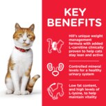 Hills Vet Essentials Cat Food Hills Vet Essentials Young Cat