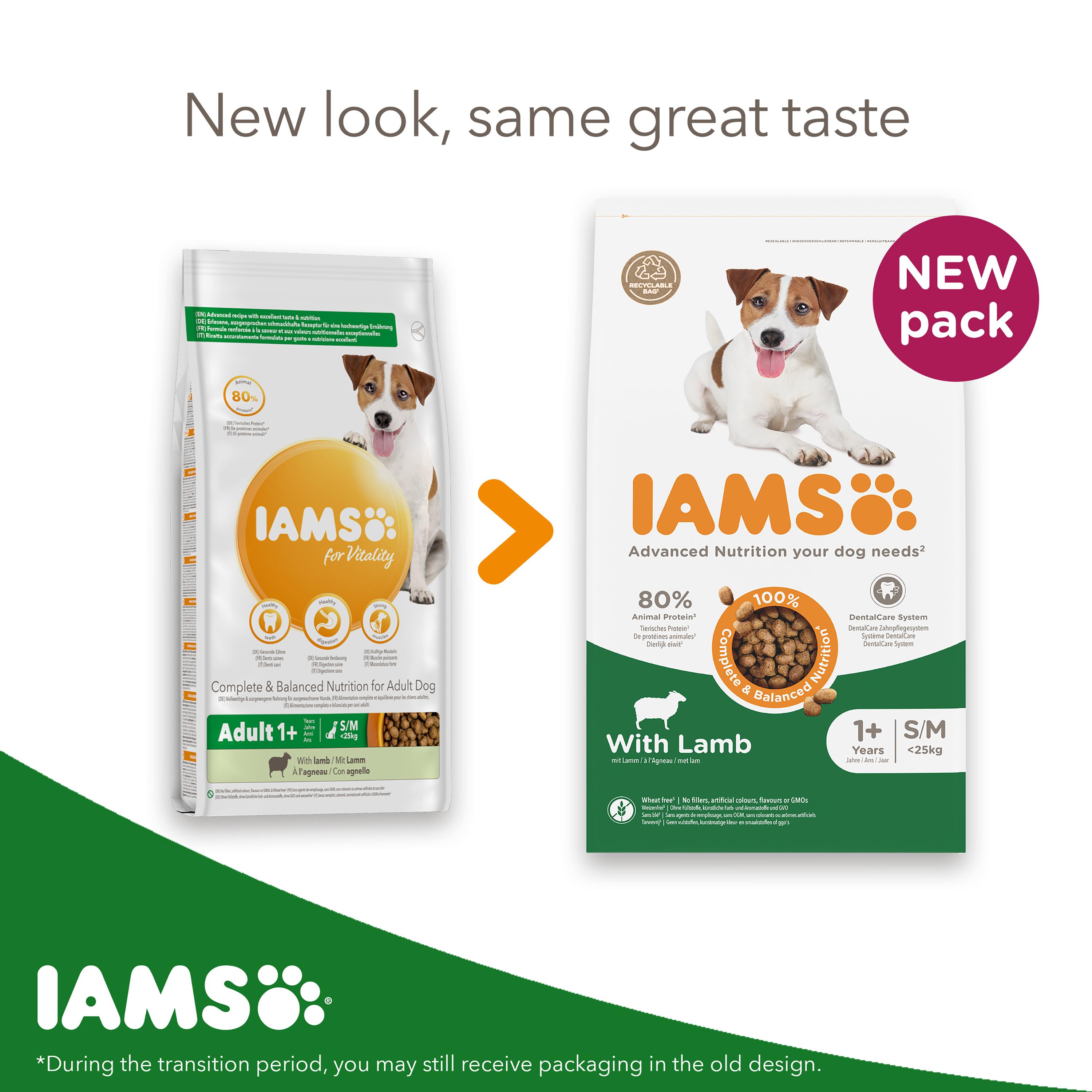 iams 12kg