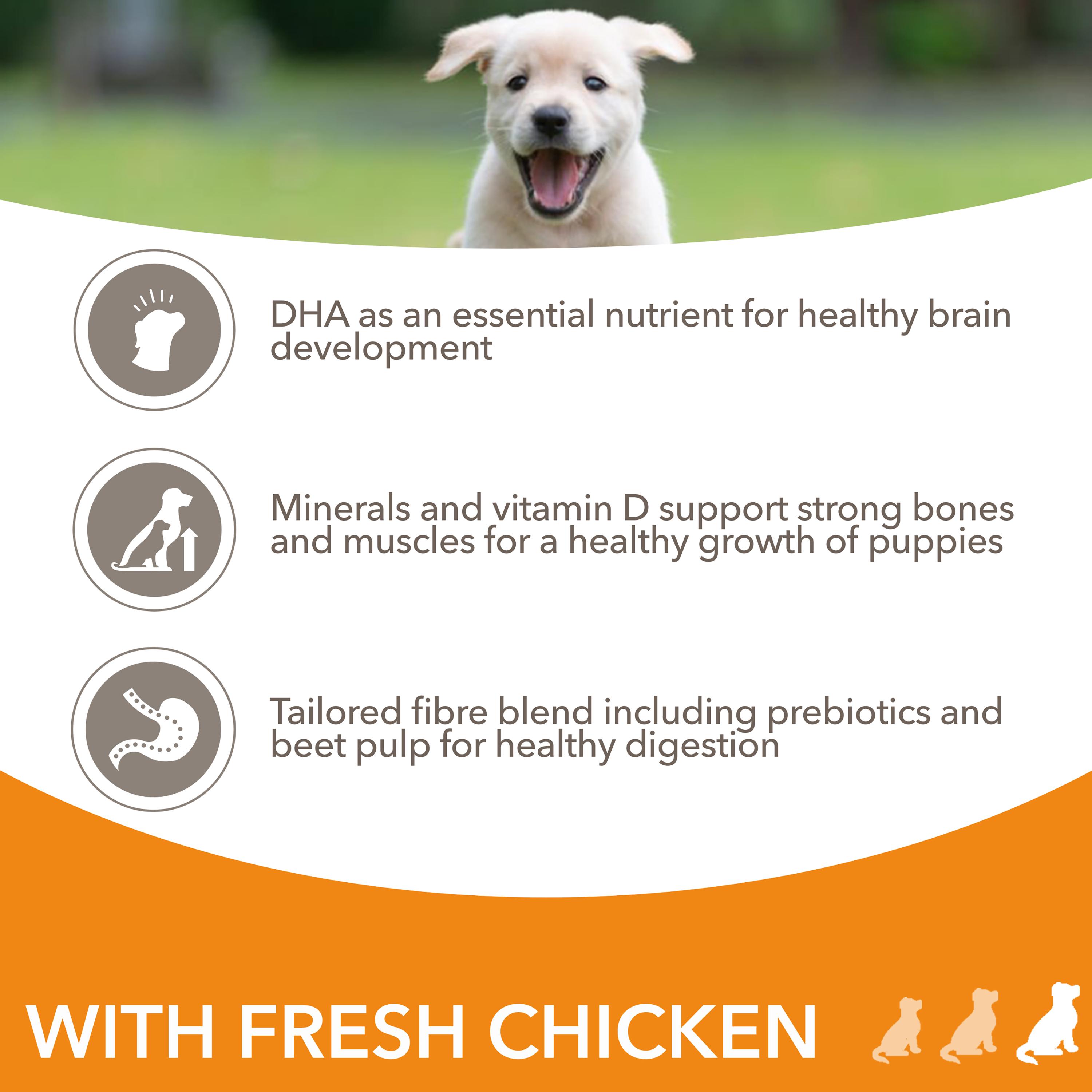 Iams Puppy/Junior Large Chicken Dog Food 12kg. On Sale at