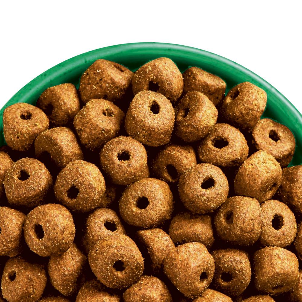 cheap dry dog food 15kg