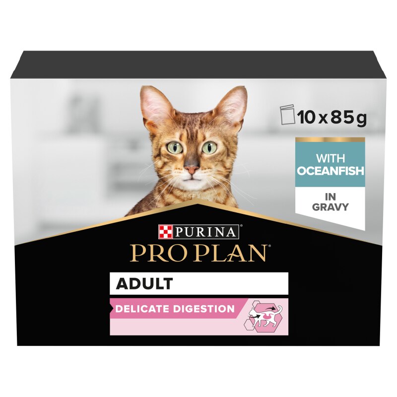 canagan cat food pouches