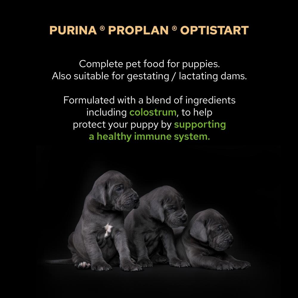 pro plan medium puppy dog food chicken 12kg