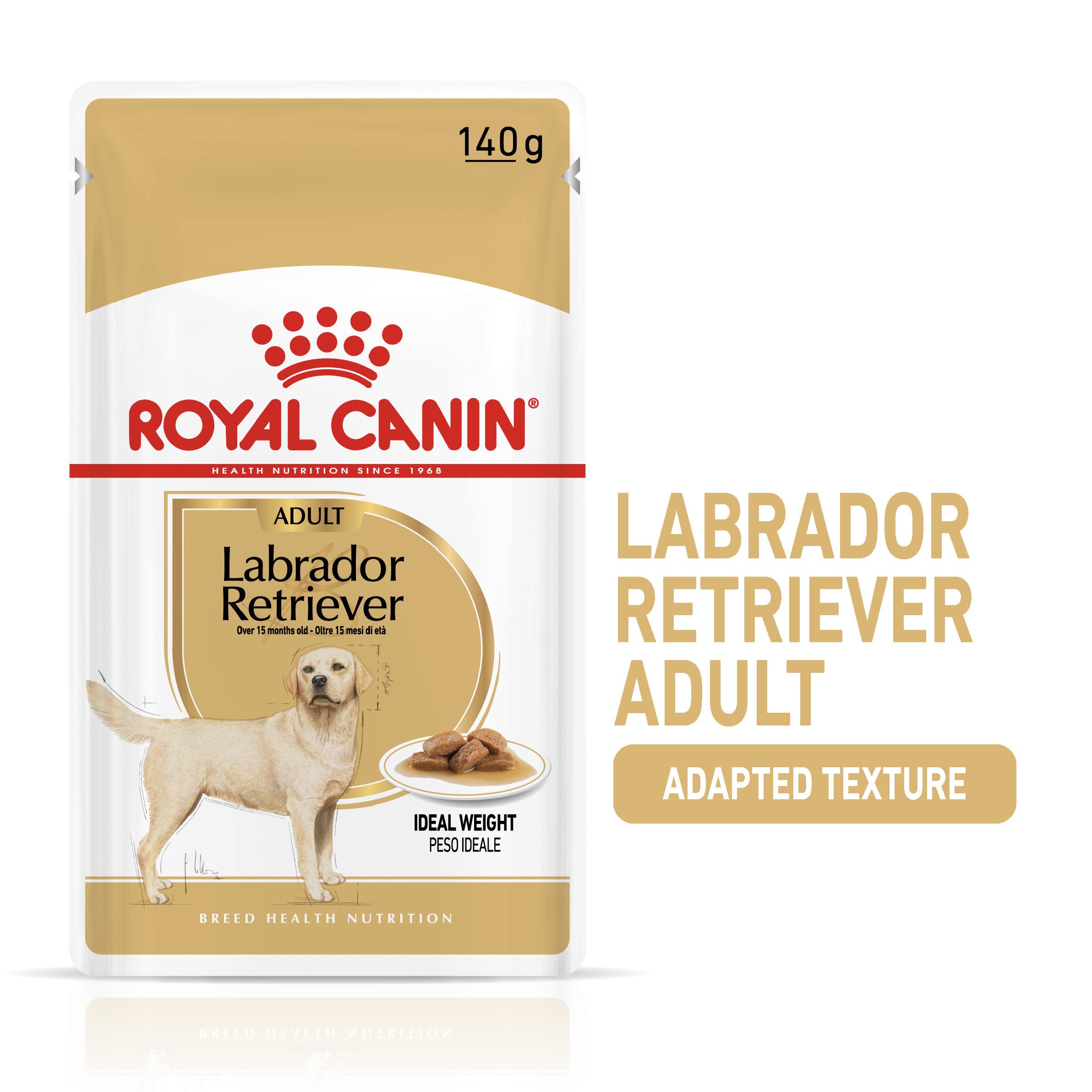 royal canin labrador retriever 12 kg