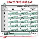 Royal Canin Feline Diabetic S O Cat Pouches 48 X 85g Buy Royal Canin Online At Petshop Co Uk