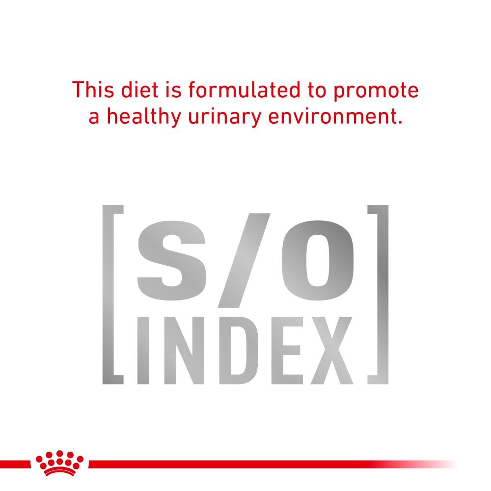 royal canin feline sensitivity control