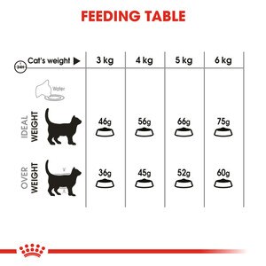 Royal Canin Oral Care Dry Adult Cat Food 8kg Buy Royal Canin