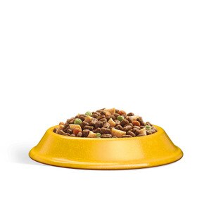 Whiskas Complete Chicken Dry Cat Food - 7kg. Cheap Prices ...
